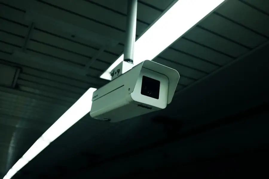 Ceiling-mounted security camera